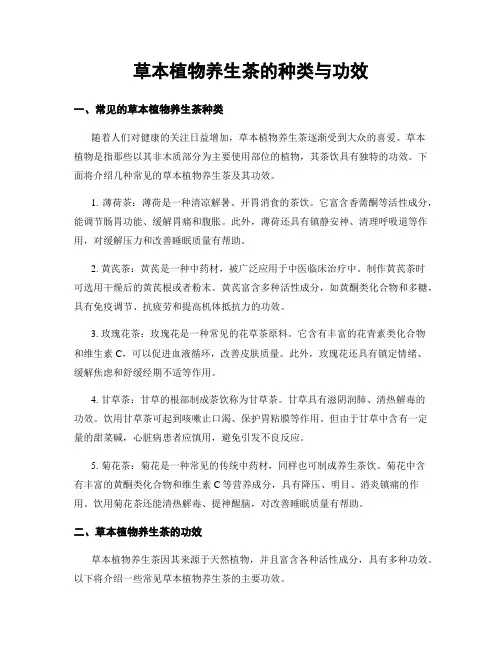 草本植物养生茶的种类与功效