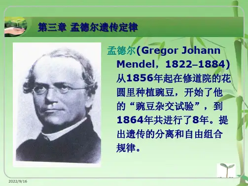 孟德尔遗传定律(共132张PPT)
