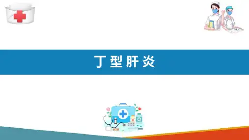 流行病学分论 病毒性肝炎 丁肝