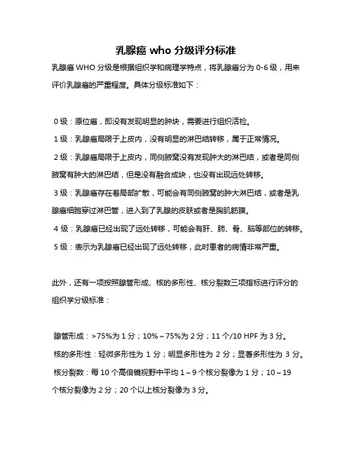 乳腺癌who分级评分标准