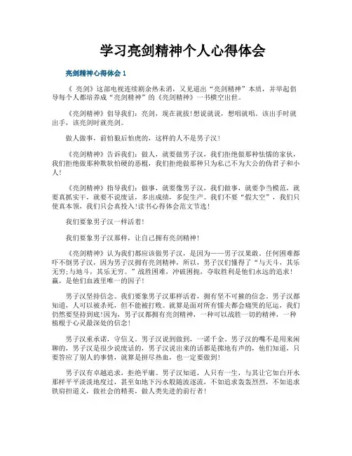 学习亮剑精神个人心得体会