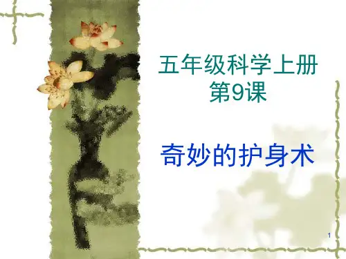 989奇妙的护身术PPT课件