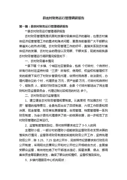 县农村财务运行管理调研报告