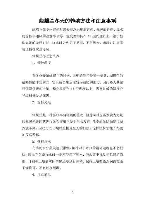 蝴蝶兰冬天的养殖方法和注意事项