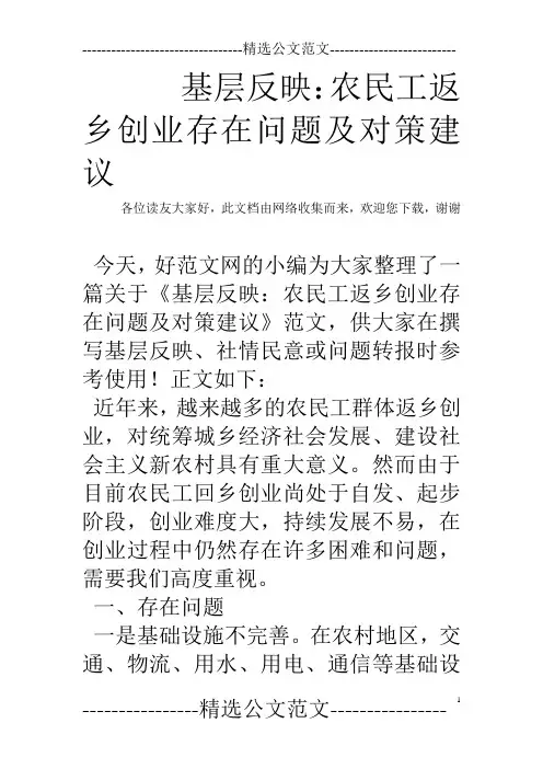 基层反映：农民工返乡创业存在问题及对策建议