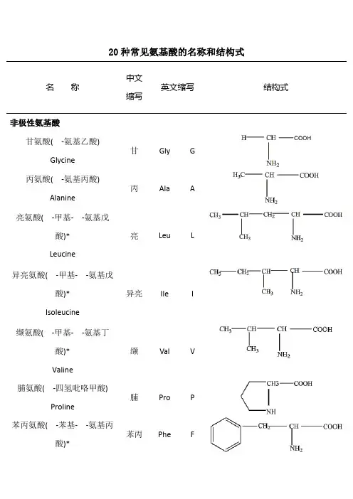 二十种氨基酸结构式