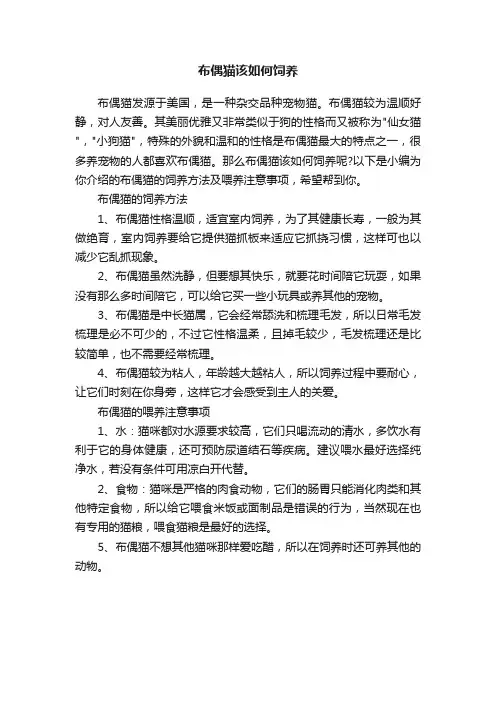 布偶猫该如何饲养