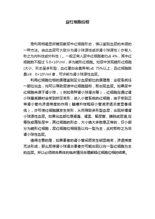 尿红细胞位相