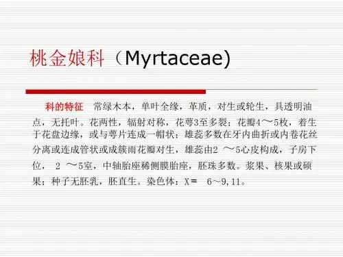 桃金娘科(MYRTACEAE)