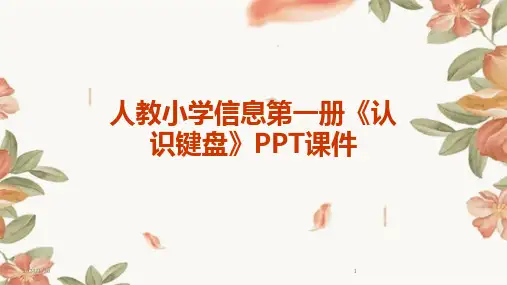 人教小学信息第一册《认识键盘》PPT课件(2024)