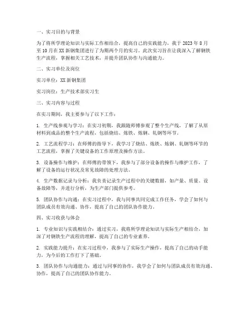 新钢实习报告