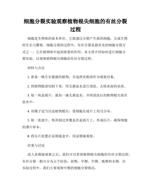 细胞分裂实验观察植物根尖细胞的有丝分裂过程