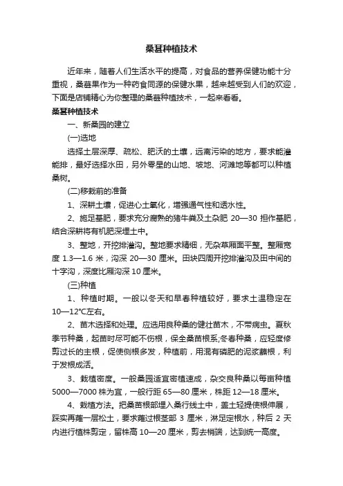桑葚种植技术