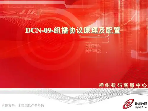DCN-09-组播协议
