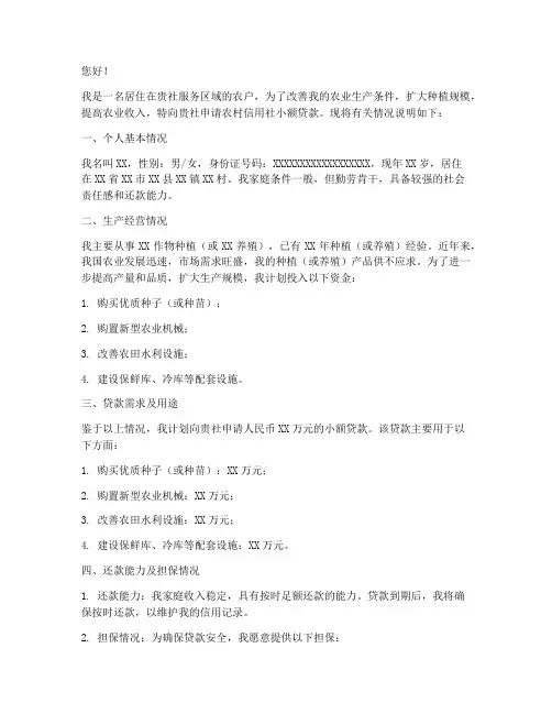 农户小额贷款申请书