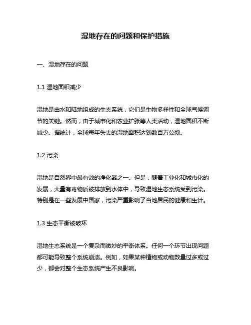 湿地存在的问题和保护措施