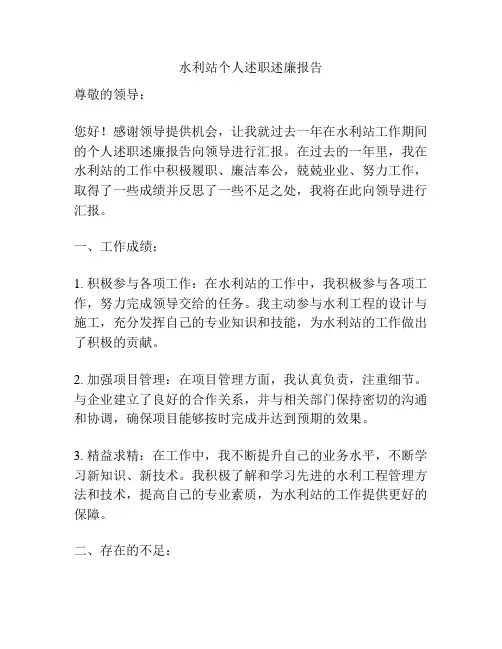 水利站个人述职述廉报告