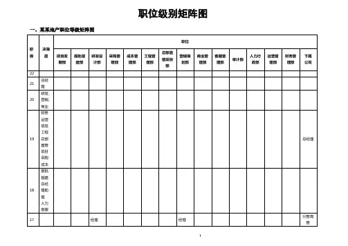 职位级别矩阵图
