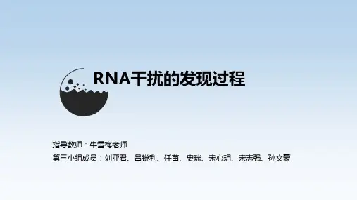 RNAi的发现过程