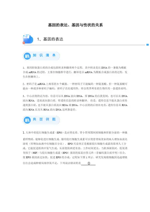 基因的表达