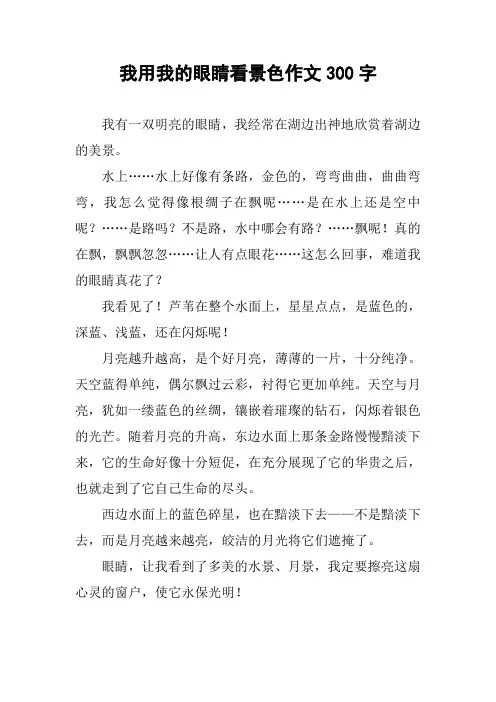 我用我的眼睛看景色作文300字