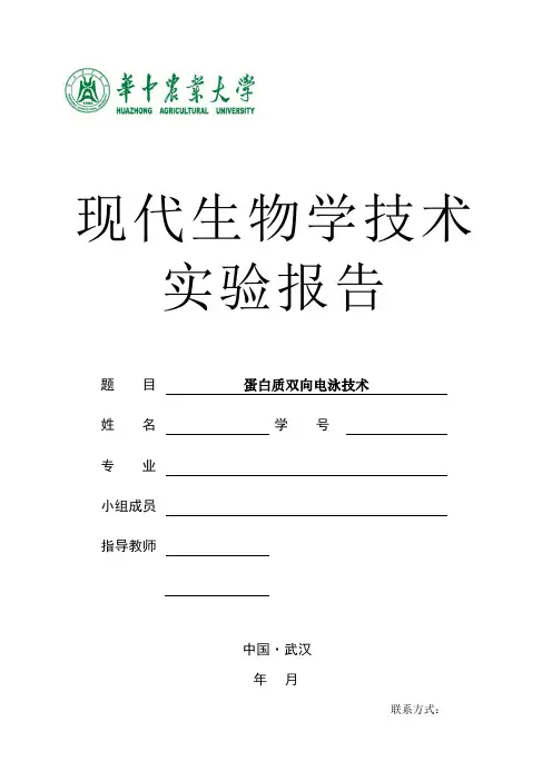 蛋白质双向电泳实验报告
