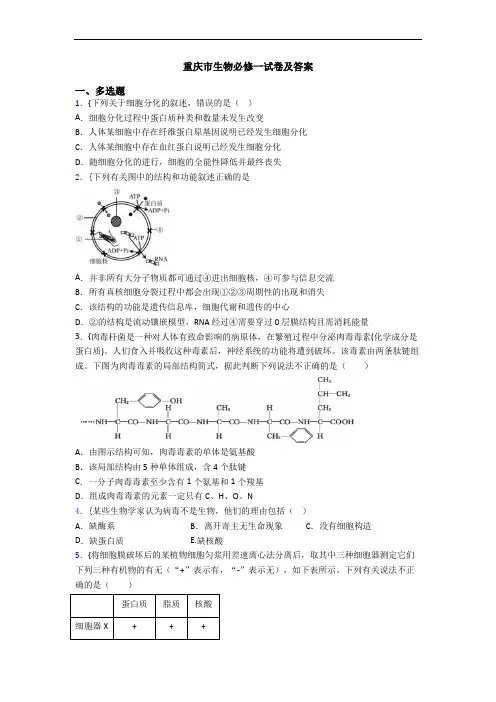 重庆市生物必修一试卷及答案