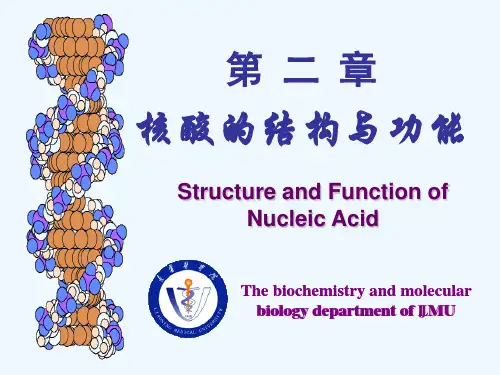 生化课件第二章