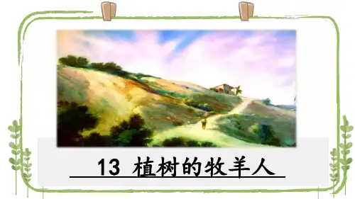 新人教版七年级上册语文第13课《植树的牧羊人》