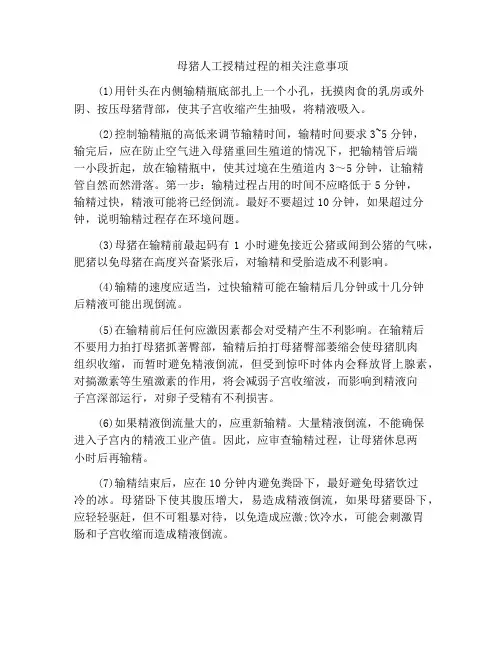 母猪人工授精过程的相关注意事项
