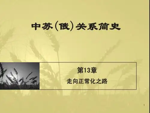 第13章中苏关系