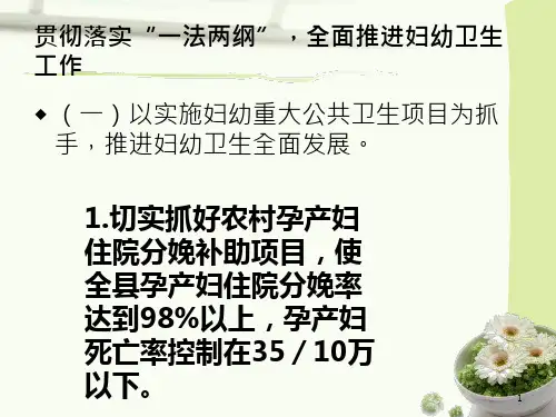 妇幼保健工作 ppt课件-PPT文档