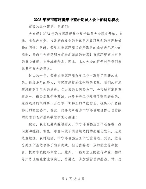 2023年在市容环境集中整治动员大会上的讲话模板