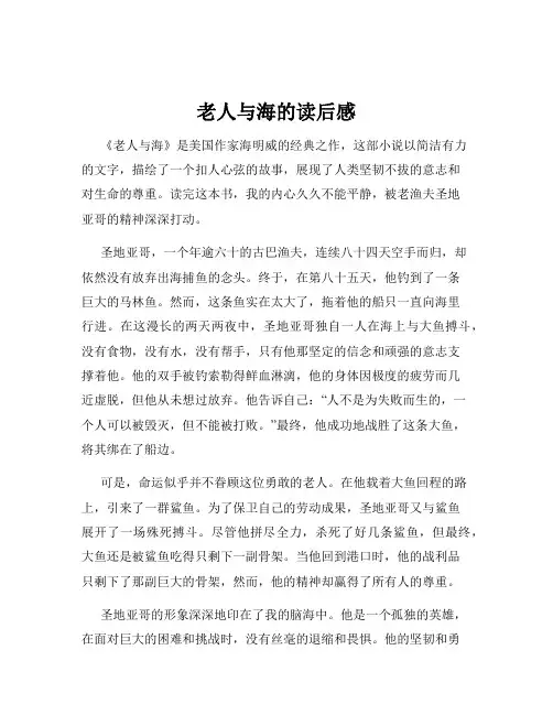 老人与海的读后感