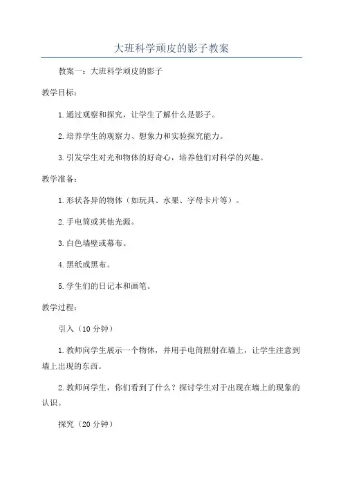 大班科学顽皮的影子教案