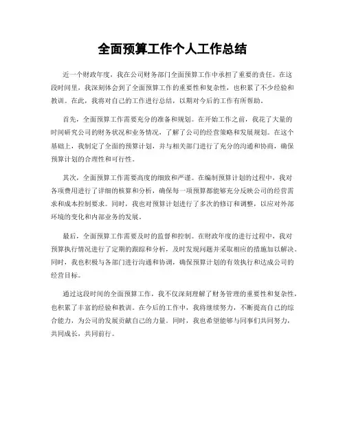 全面预算工作个人工作总结