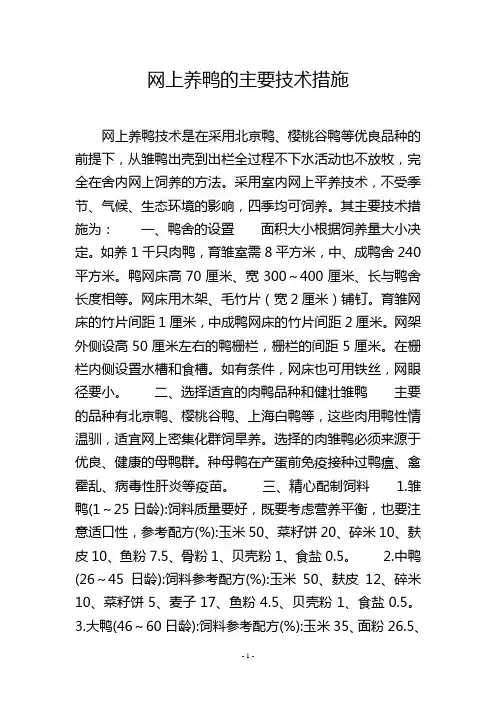 网上养鸭的主要技术措施