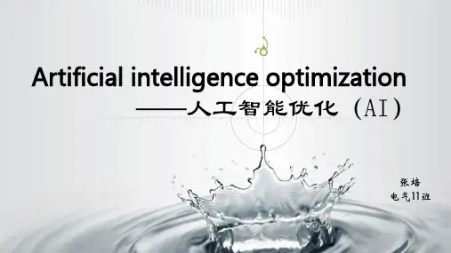 智能优化专业英语介绍