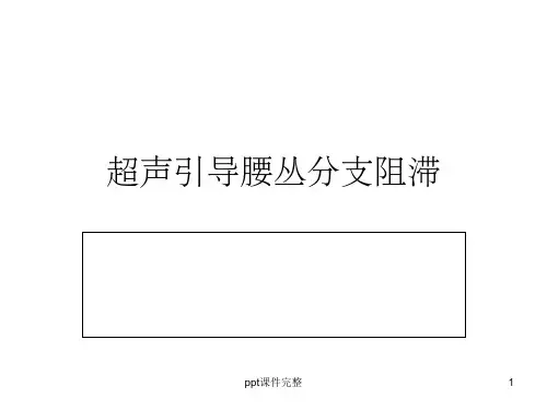 腰丛神经阻滞