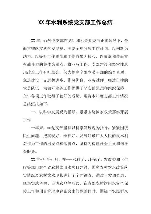 XX年水利系统党支部工作总结