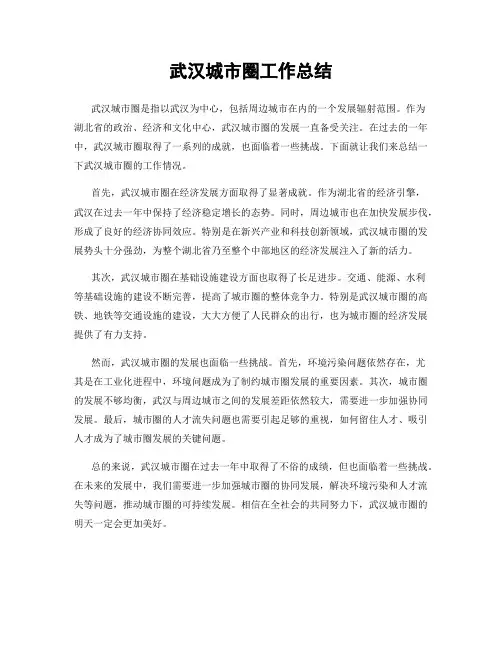 武汉城市圈工作总结