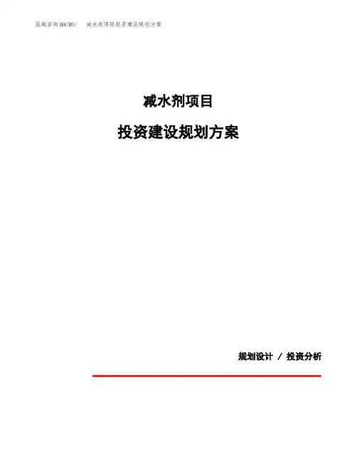 减水剂项目投资建设规划方案(模板)