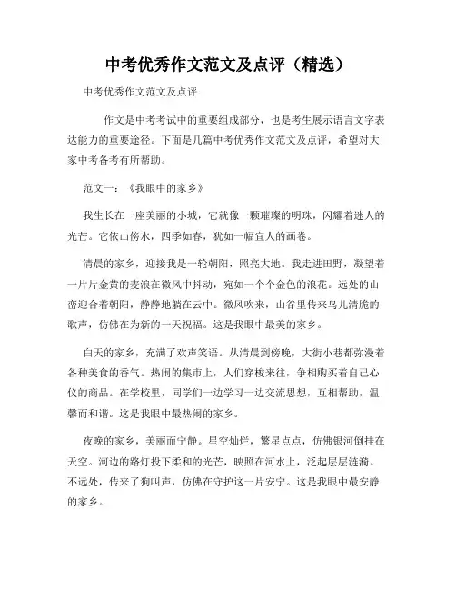 中考优秀作文范文及点评(精选)