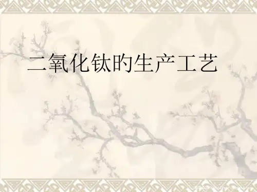 二氧化钛生产工艺简介