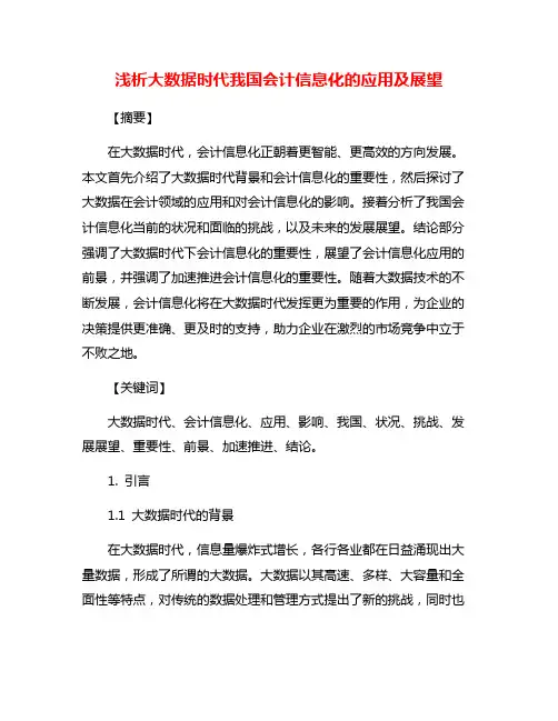 浅析大数据时代我国会计信息化的应用及展望