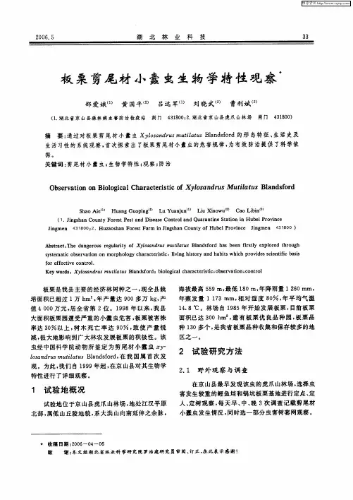 板栗剪尾材小蠹虫生物学特性观察