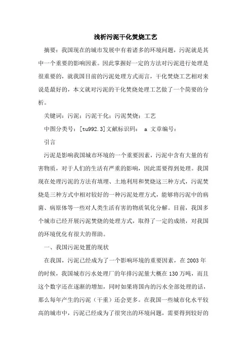污泥干化焚烧工艺