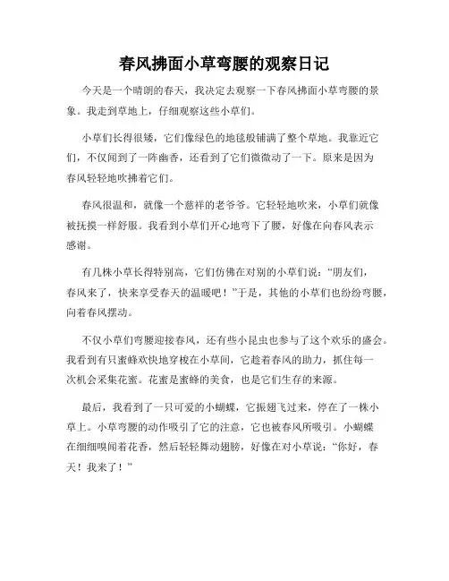 小学三年级作文春风拂面小草弯腰的观察日记
