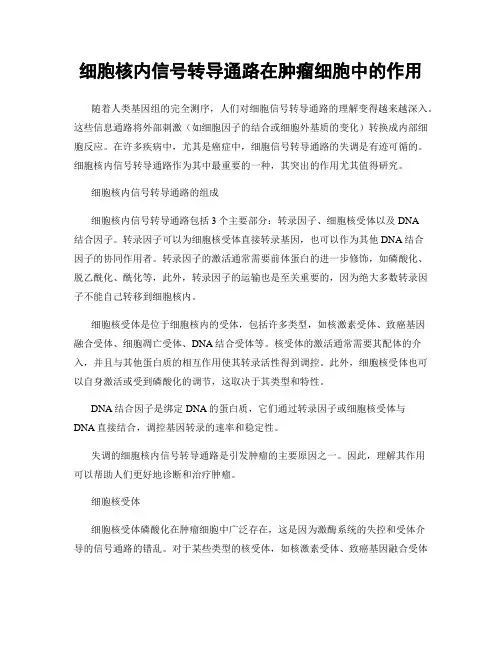 细胞核内信号转导通路在肿瘤细胞中的作用