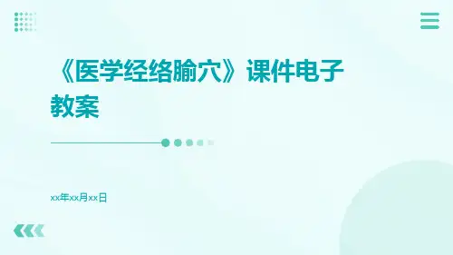 《医学经络腧穴》课件电子教案